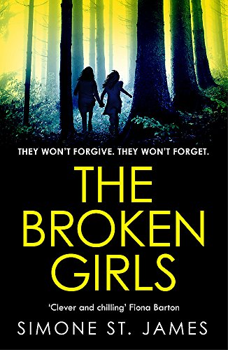 Book cover showing two girls holding hands in a misty forest with yellow text.