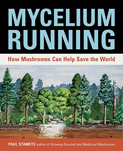 Book cover titled Mycelium Running showing a forest landscape with a cross-section of soil.