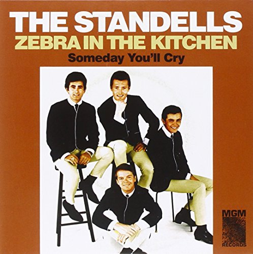 Album cover for The Standells featuring a band portrait in brown tones.