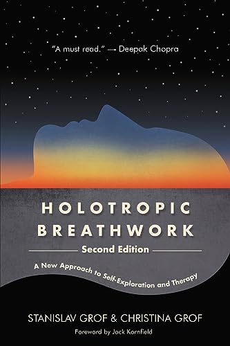 Book cover showing a human silhouette against a starry sky and sunset horizon.