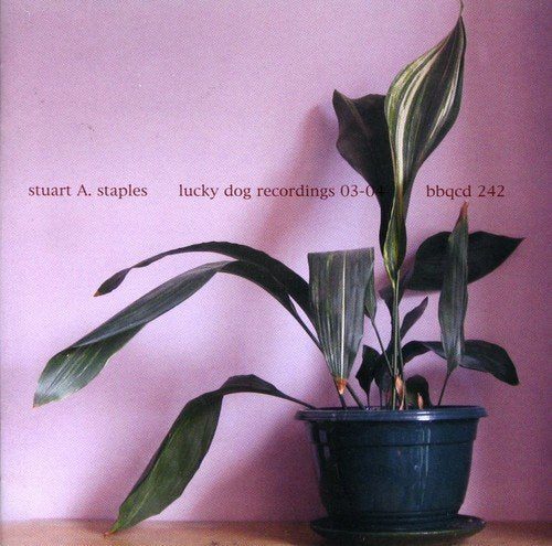 CD cover with a pink background and a potted plant.
