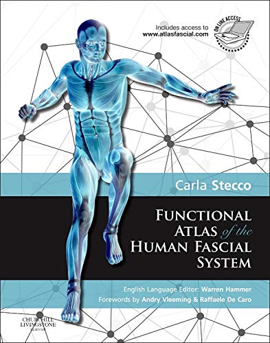 Human anatomy atlas showing fascial connections with blue and white tones.