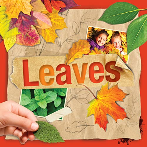 Collage featuring the title Leaves, autumn leaves, a photo of children, and green foliage.