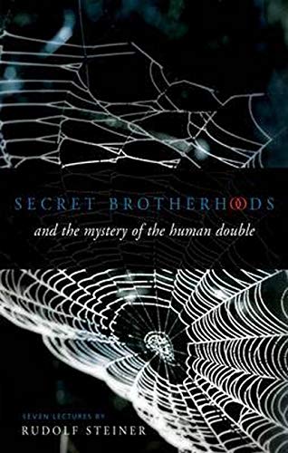 Book cover with white web-like designs on a dark teal background.