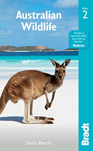 A kangaroo stands on a white sandy beach with turquoise water in the background.
