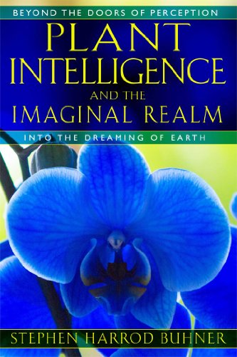 Book cover with blue orchid and text: “Plant Intelligence And The Imaginal Realm.”