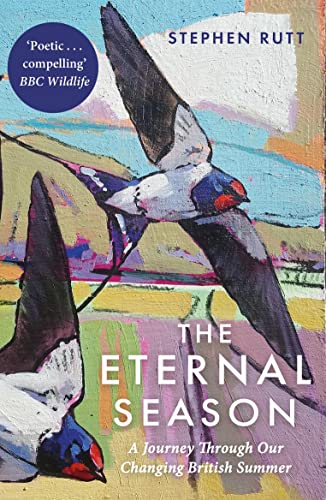 Book cover featuring painted swallows in flight over a landscape.