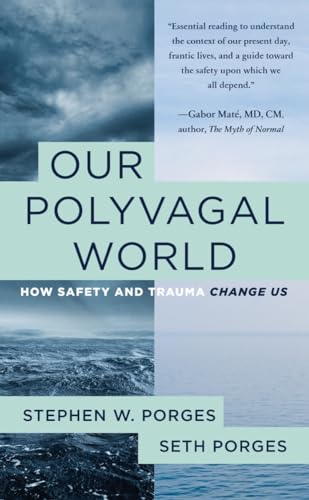 Book cover: “Our Polyvagal World” by Stephen & Seth Porges, with stormy seas.