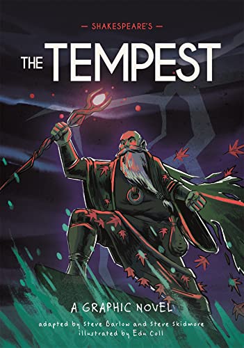 Graphic novel cover featuring a bearded wizard holding a glowing staff against a dark background.