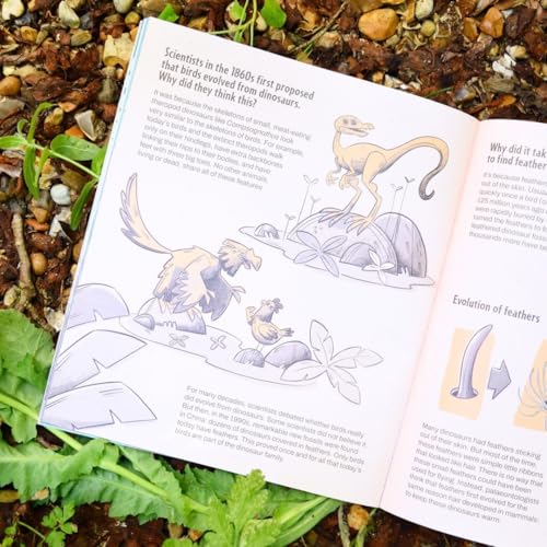 Open book page with illustrations of dinosaurs and early birds.
