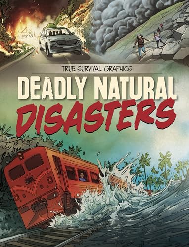 Book cover depicting fires, floods, landslides, and people in disaster scenarios.