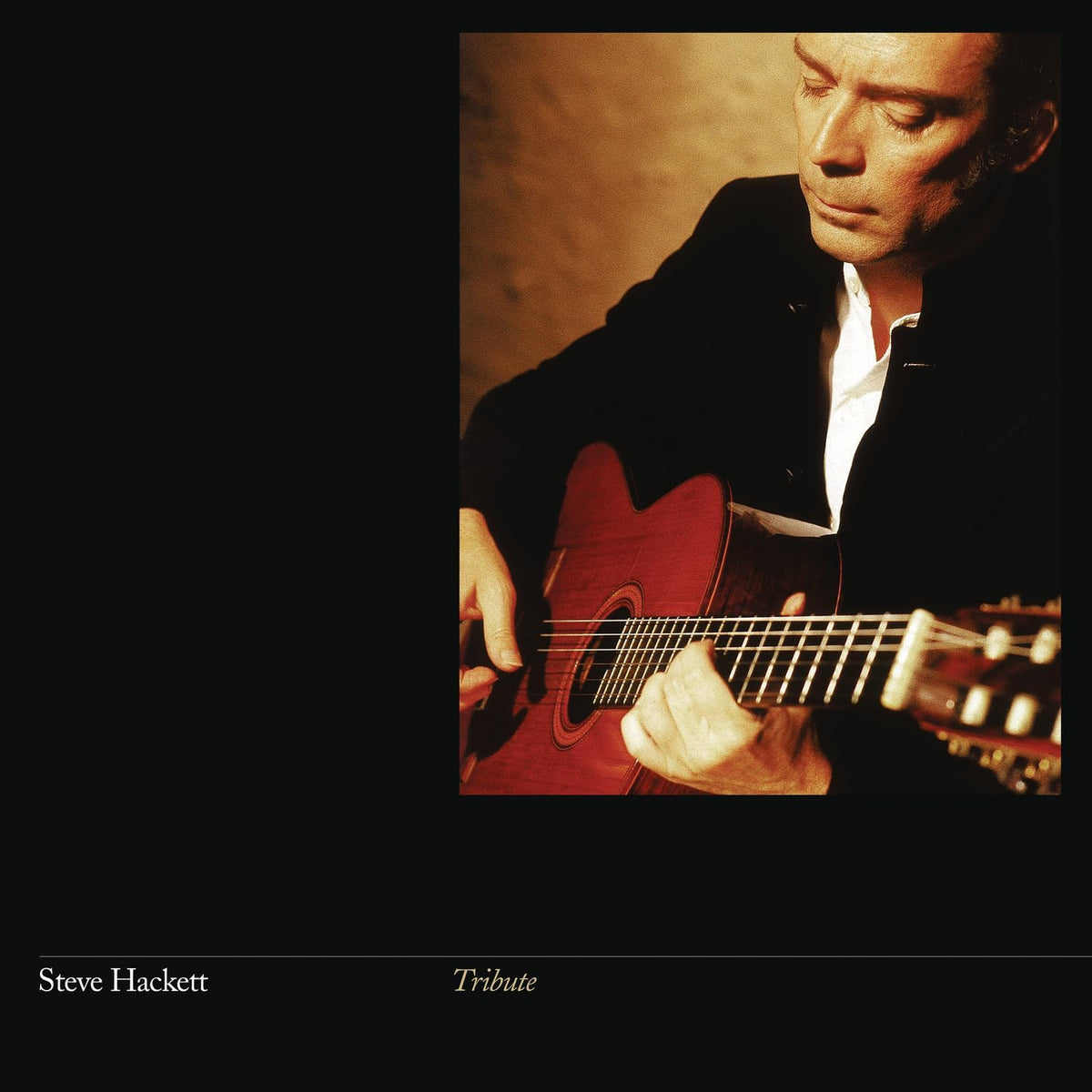 Steve Hackett playing an acoustic guitar on the album cover “Tribute”.