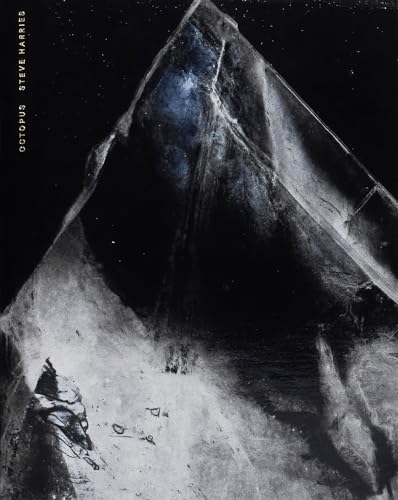 Book cover: dark, abstract image of an octopus against a starry sky.