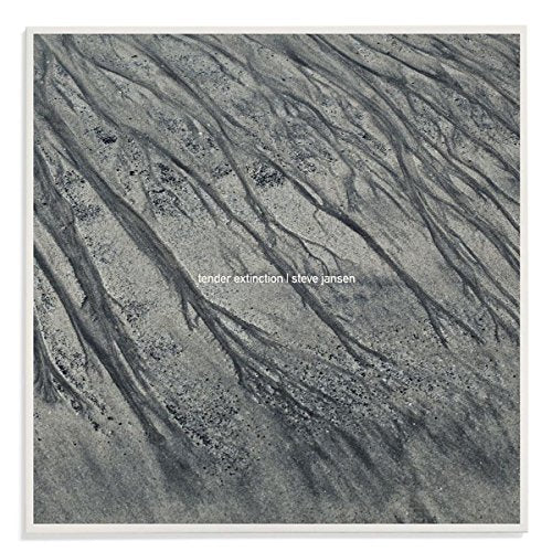 CD cover: abstract grayscale image of textured sand with flowing lines.