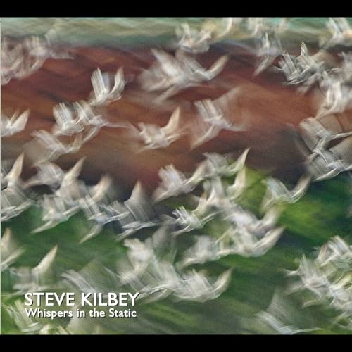 CD cover for Steve Kilbey’s “Whispers In The Static” with blurred birds.