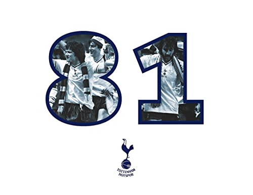1981 Tottenham Hotspur FA Cup victory book cover with player photos.