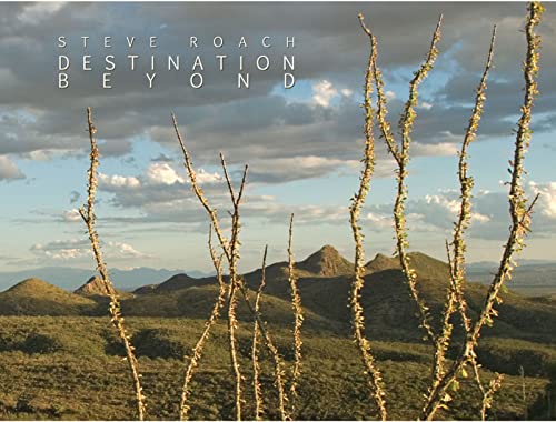 CD cover: desert landscape with silhouetted branches and distant mountains.