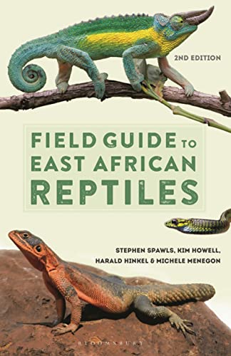 Book cover featuring a colorful chameleon and an orange lizard.