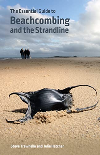 Book cover showing a shark egg case on a sandy beach with people walking.