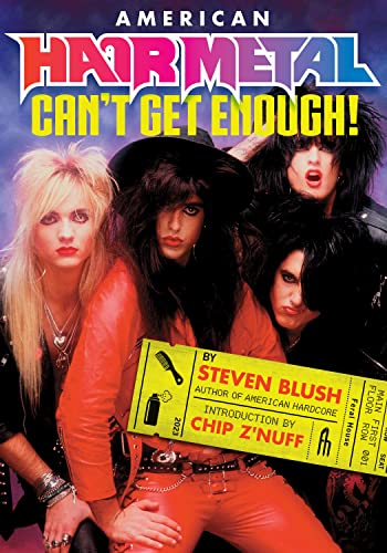 Book cover featuring four musicians with long hair, 1980s style.