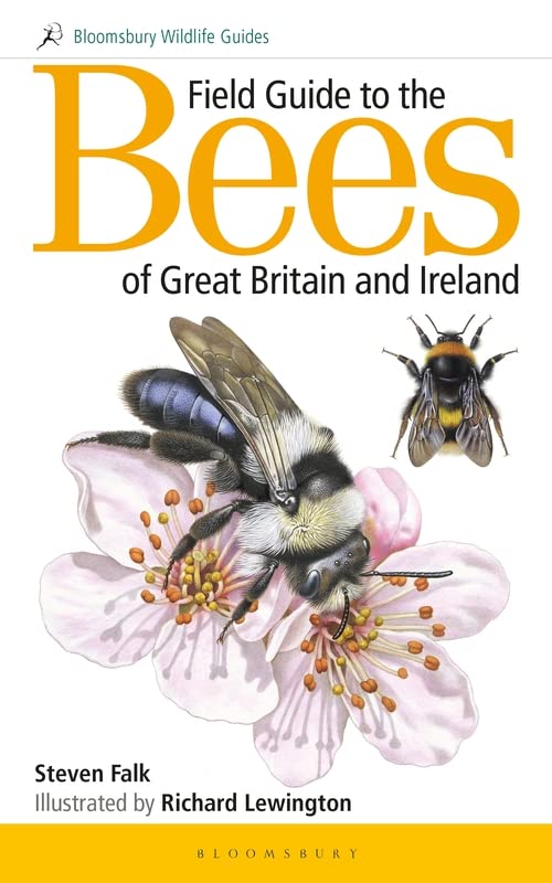 Book cover titled Field Guide to the Bees featuring illustrations of bees on flowers.