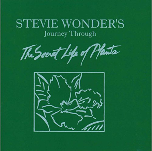 Stevie Wonder album cover with white text on a dark green background featuring plants.