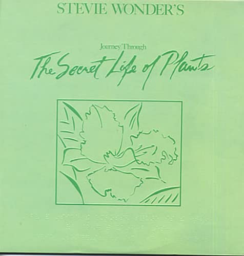 Green album cover for Stevie Wonder’s “Journey Through The Secret Life of Plants.”