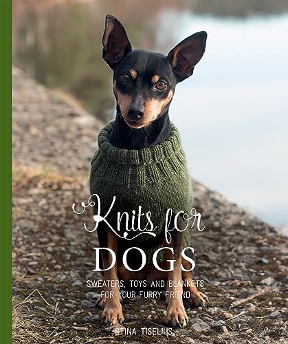 Small black dog wearing a green knitted sweater, book cover.