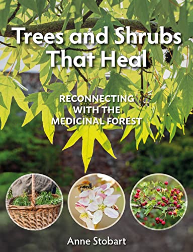 Book cover featuring foliage, medicinal plants, and a bee on a flower.