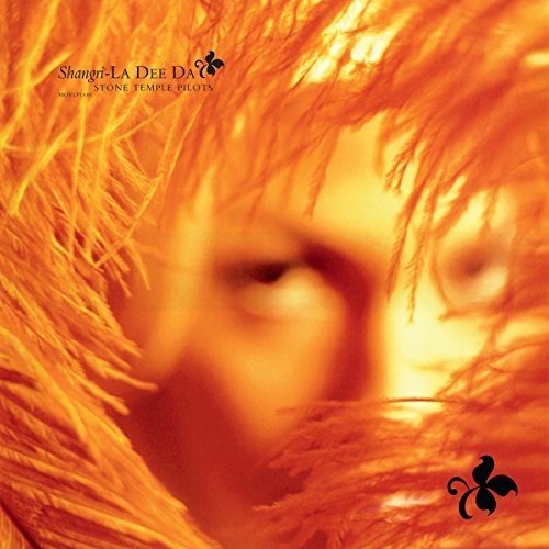 The image is an orange-toned close-up of a person's face, partially obscured by hair. For accessibility purposes, a suitable alt text could be: "Orange-toned close-up of a face obscured by hair."