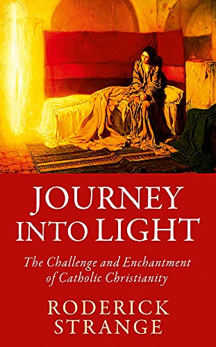Book cover: painting of a woman in a dimly lit, arched room.