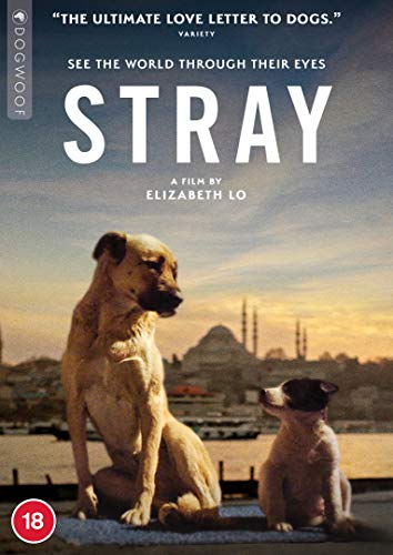 DVD cover for “Stray” featuring two dogs and a city skyline.