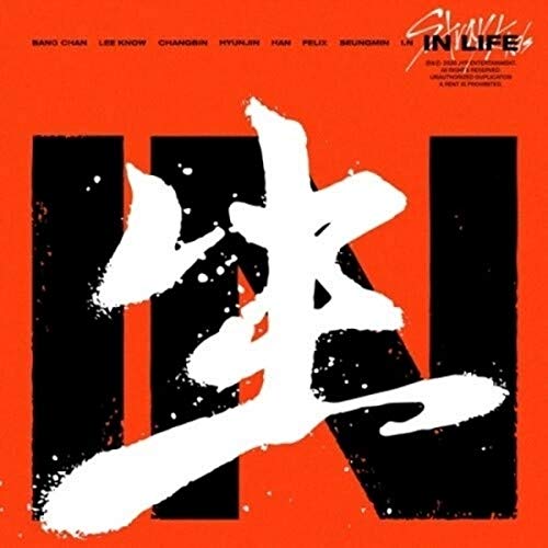 Stray Kids album cover: orange background with white brushstroke characters.