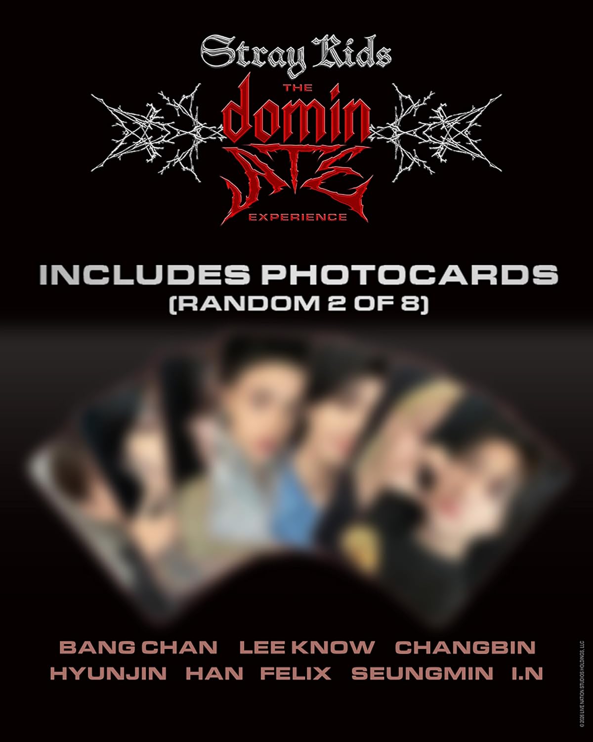 Stray Kids: The dominATE Experience [Blu-ray]