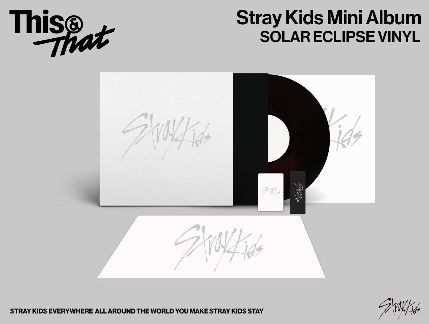 Stray Kids "THIS & THAT" vinyl record with eclipse design and case.