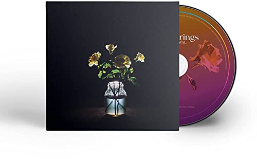 Billy Strings Renewal CD case featuring a glass jar of flowers and gradient disc.