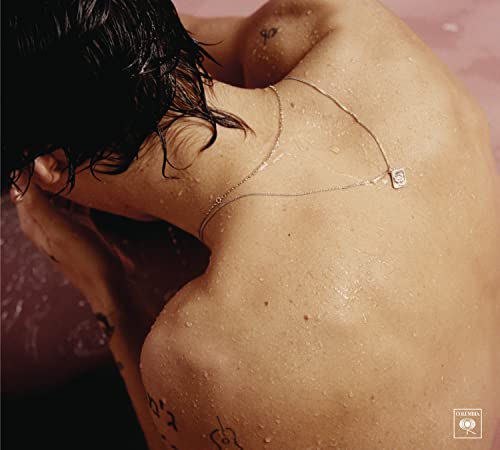 Harry Styles album cover showing a wet, partially obscured back and neck.
