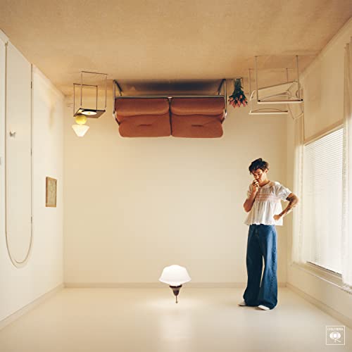 Harry Styles stands in a room with furniture attached to the ceiling.