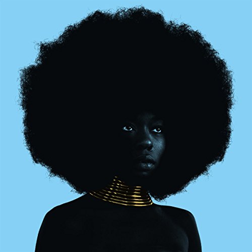 Portrait of a Black woman with large afro and gold necklace.