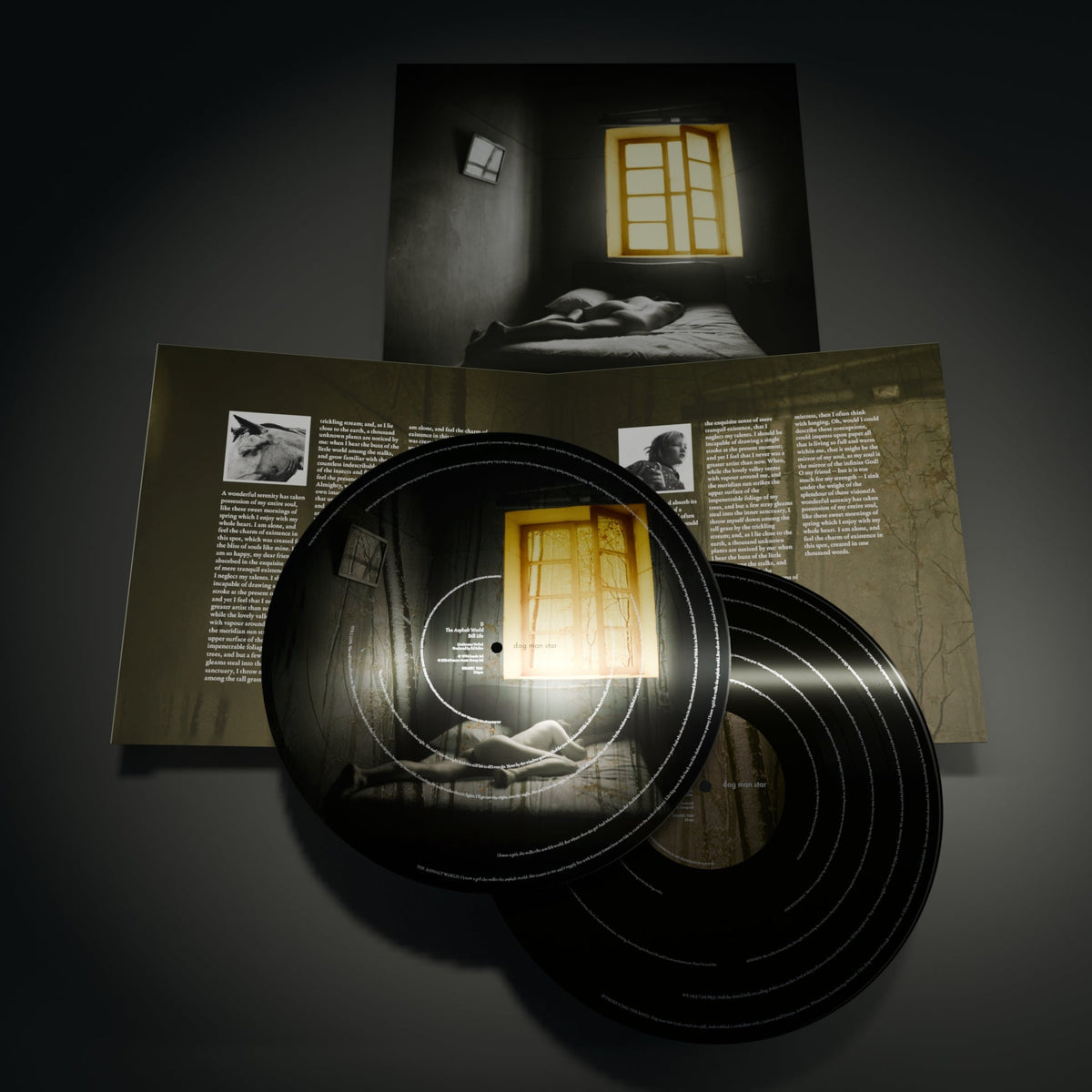 Suede’s “Dog Man Star” picture disc vinyl 2LP with album artwork.