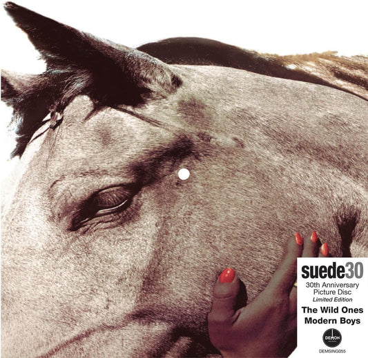 Close-up of a horse’s eye and a hand holding a red balloon; vinyl record cover.