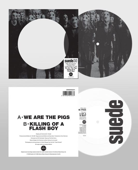 Suede "We Are The Pigs" 7" picture disc vinyl record cover.
