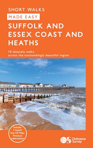 Book cover with coastal scene of a beach and pier.
