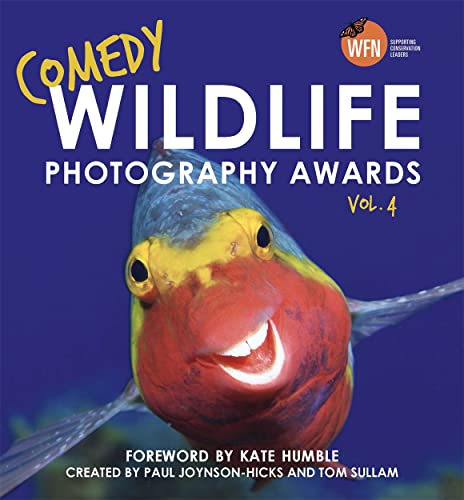 Book cover featuring a colorful parrotfish with a smiling expression.