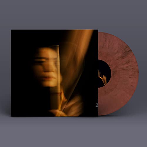 Vinyl record with cover art featuring a blurred portrait in warm tones.