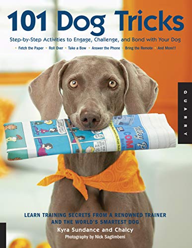 Book cover featuring a Weimaraner dog balancing a rolled newspaper.