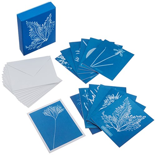 Blue cyanotype notecards depicting botanical specimens with white envelopes.