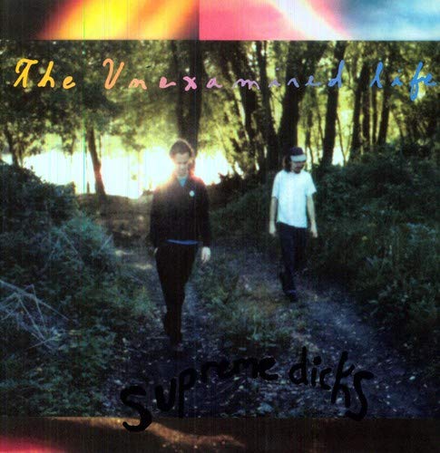 Two people walk along a wooded path under a bright, hazy sky.