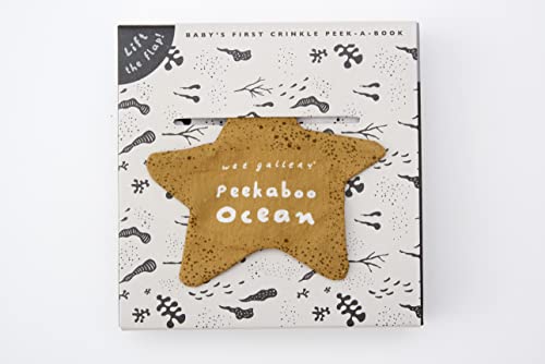 Baby’s peek-a-boo ocean book with a star-shaped cutout on cover.