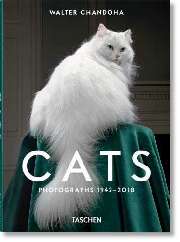 Book cover featuring a fluffy white cat sitting on a draped green velvet cloth.